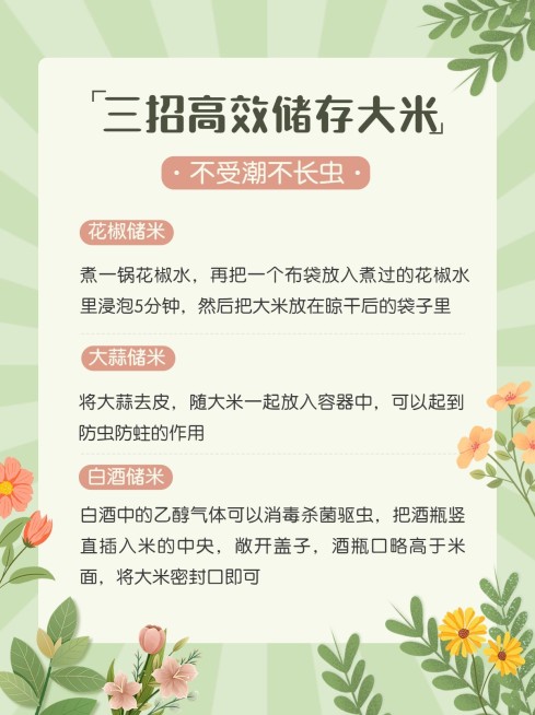 拟手帐风攻略科普小红书配图预览效果