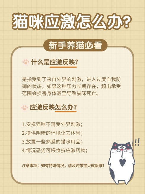 宠物萌宠可爱知识干货小红书配图预览效果