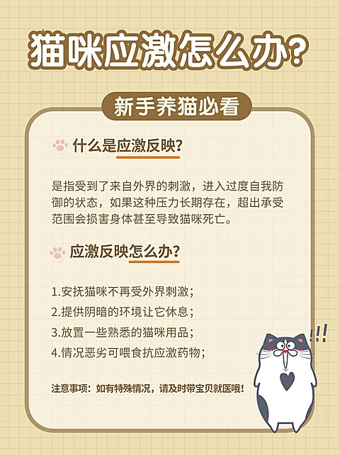 宠物萌宠可爱知识干货小红书配图