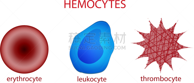 白细胞,红细胞,血小板,分离着色,白色,生物学,人血细胞,健康保健,红色