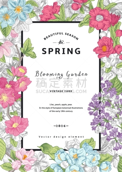 贺卡,春天,矢量,垂直画幅,华丽的,请柬,清新,菜园,浪漫,环境