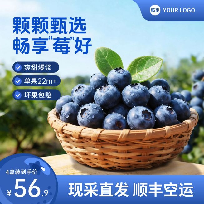 蓝莓生鲜食品电商零售主图预览效果