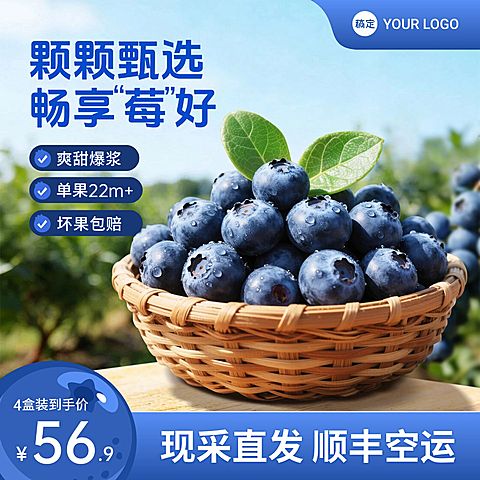 蓝莓生鲜食品电商零售主图