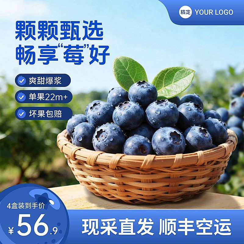 蓝莓生鲜食品电商零售主图