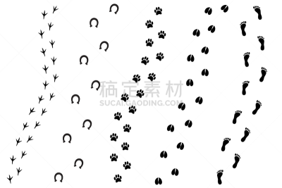 脚印,动物,卡通,人,矢量,黑色,平坦的,反差,背景分离,狗