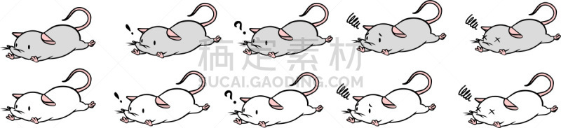 矢量,鼠,绘画插图,动物研究,科学实验,十二生肖,哺乳纲,动物,实验大白鼠,问号