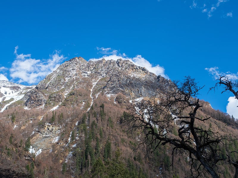 四姑娘山(四姐妹山，东方阿尔卑斯山)的景观，在阿加瓦族羌族自治州，中国四川省。