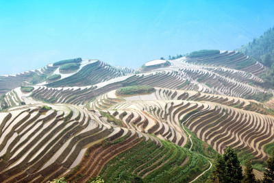 中国广西龙脊梯田