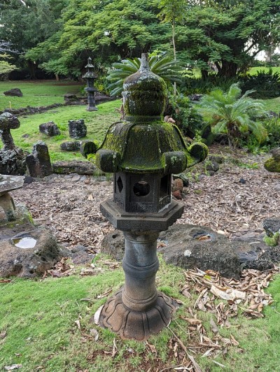 在考艾岛花园
