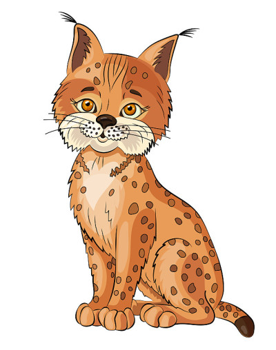 白色背景上的山猫。猞猁的孤立。可爱的卡通人物。矢量图