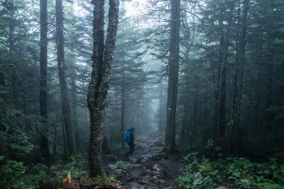在特朗山国家公园的森林里徒步旅行