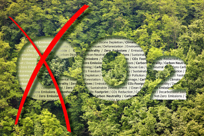 从二氧化碳到氧气- CO2净零排放-碳中和的概念与森林去除字母C从二氧化碳获得氧气