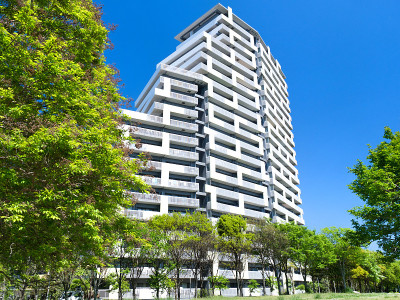 新兴住宅区中的高层公寓楼