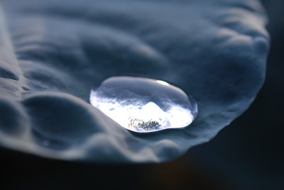 水滴