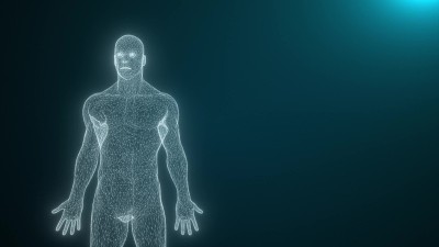 人体是由线条构成的
