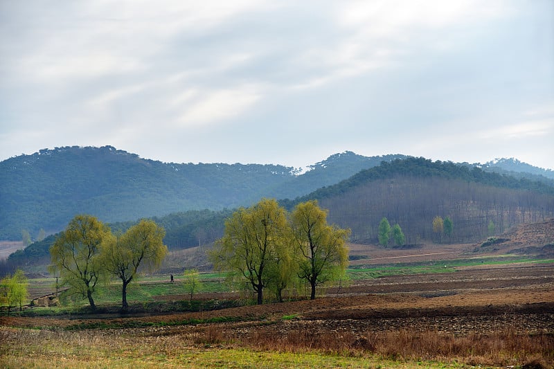 朝鲜。农村