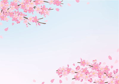 樱花背景，矢量插图