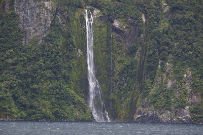 新西兰米尔福德湾的风景