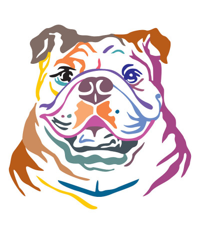彩色装饰肖像犬牛头犬矢量插图