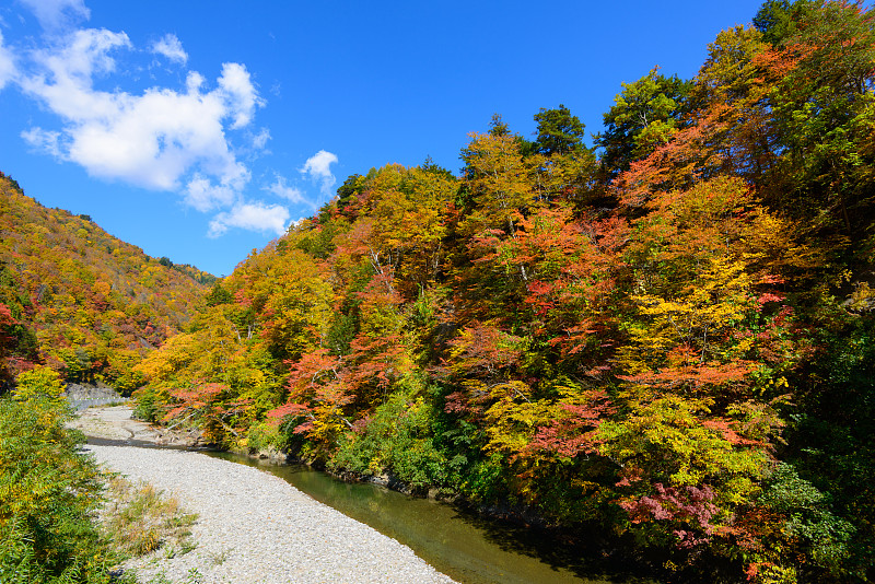 长野的奥索坂那峡谷