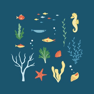 珊瑚礁里的一套海洋动物——海马、海星、蛤、贝壳