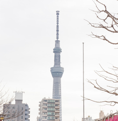 冬天的东京天空树，用树枝前景和天空