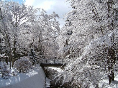 日本轻井泽美丽的雪景