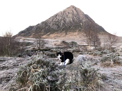 Wintery Buachaille