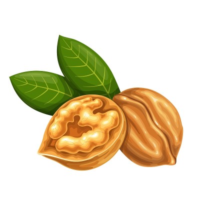核桃与树叶