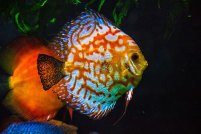 水族馆