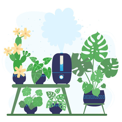 带室内植物的现代超声波加湿器。