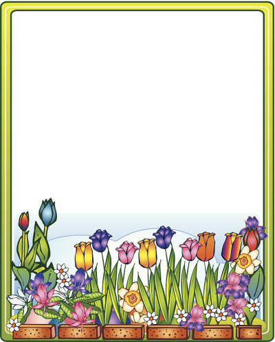 鲜花框架C