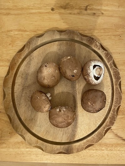 食物