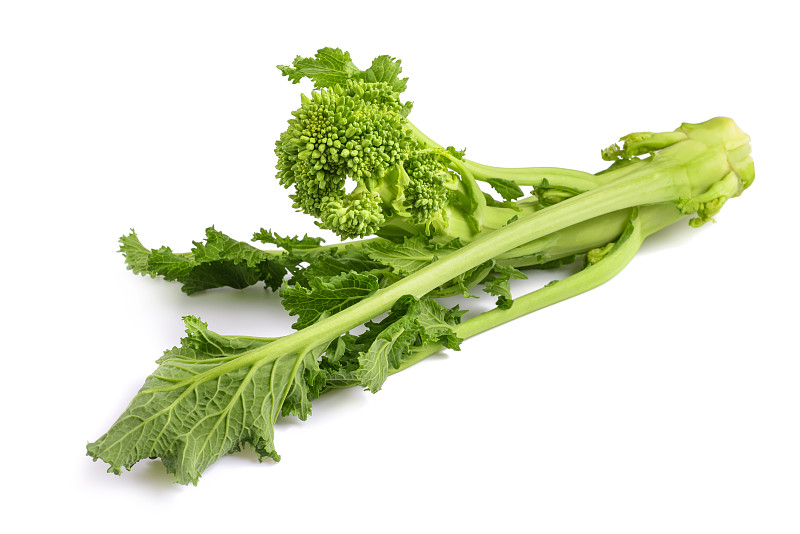 新鲜rapini