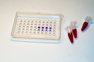 在生物研究实验室里。