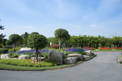 美丽的花园