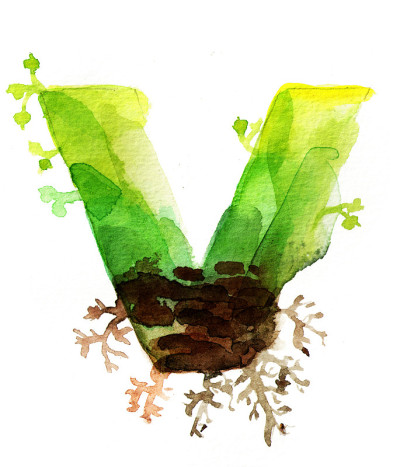 手绘水彩字母V