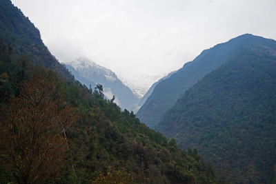 绿色山脉的自然景观