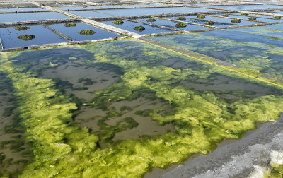 威Saline-Portugal