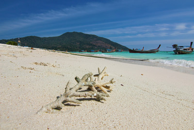 死珊瑚分枝仍然在泰国旅游岛Koh Lipe海滩与海水和蓝天的景观背景