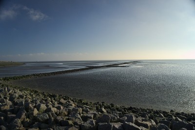 wadden作为“