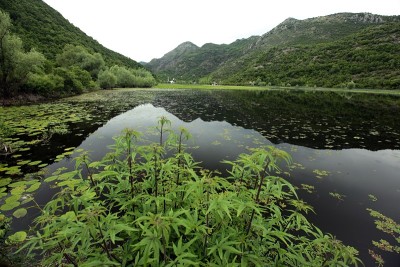 欧洲巴尔干的黑山斯卡达尔湖