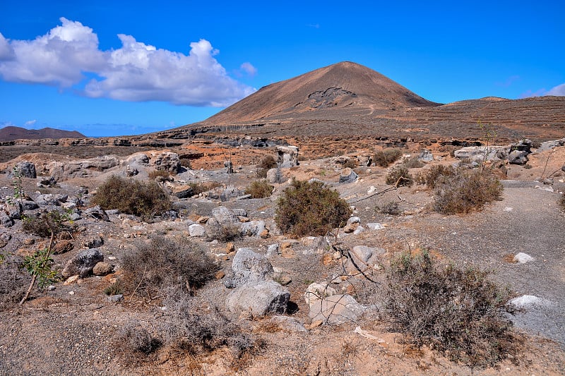 西班牙热带火山加那利群岛的景观