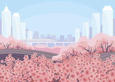 樱花盛开的城市