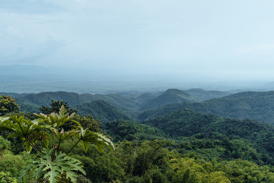 雨后青山绿树