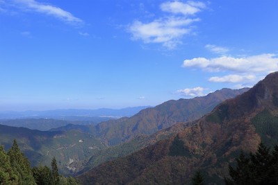 日本秩父秋天五颜六色的树叶