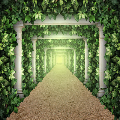 落叶墙纸与透视和照明效果作为背景或网页横幅