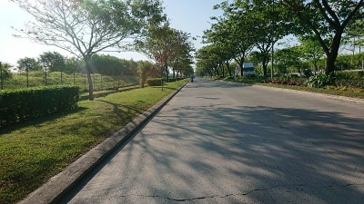 绿色自然的工业街区肖像