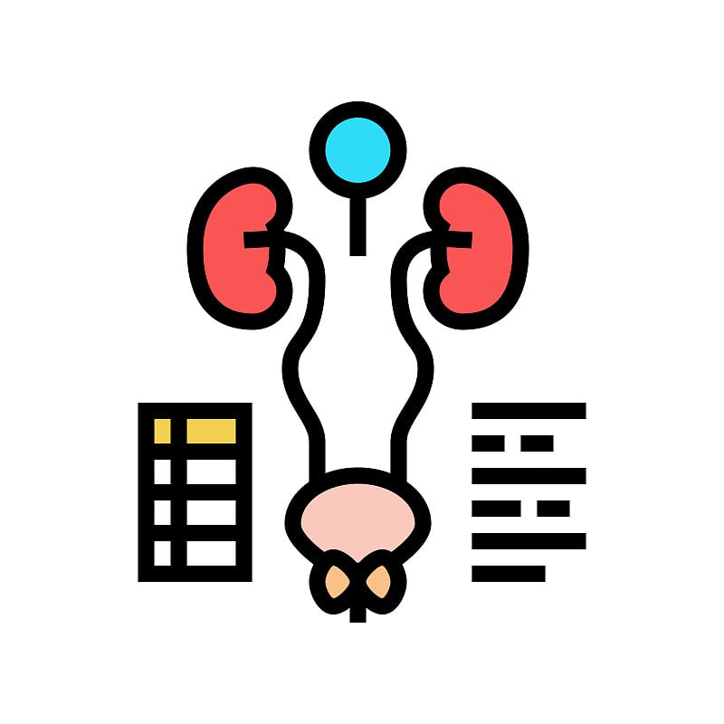 检查泌尿生殖系统颜色图标矢量插图