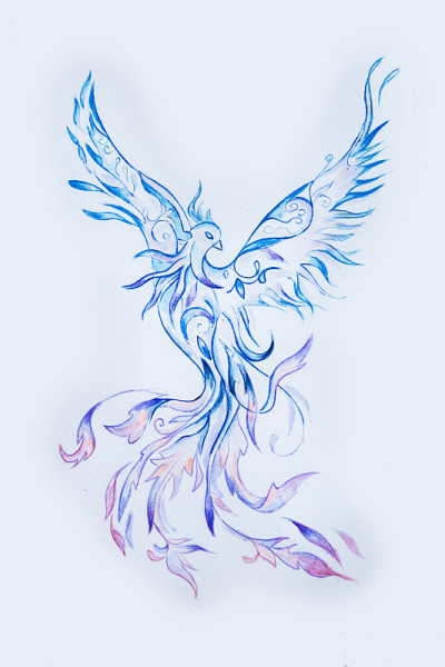 白色背景上的紫色凤凰鸟素描。